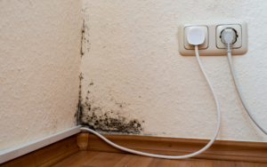 Fjern Skimmelsvamp og Mug i Boligen – Sådan Gør Du